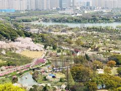 -苏州上方山国家森林公园