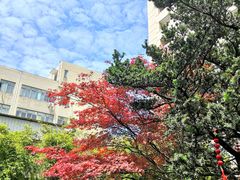 -上海交通大学医学院附属瑞金医院(总院)