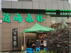 -菌海森林·非遗野生菌火锅(西山区滇池路摩根道店)