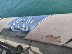 -星光大道