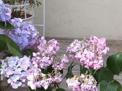 -章太炎故居