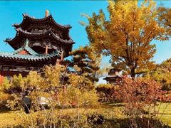 -迎泽公园