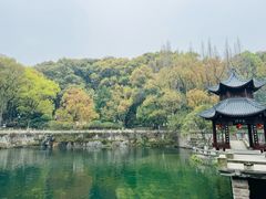 -忠山公园