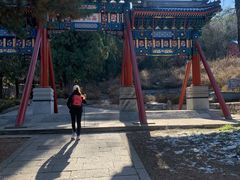 -筋头巴脑牛一锅(朝阳路总店)