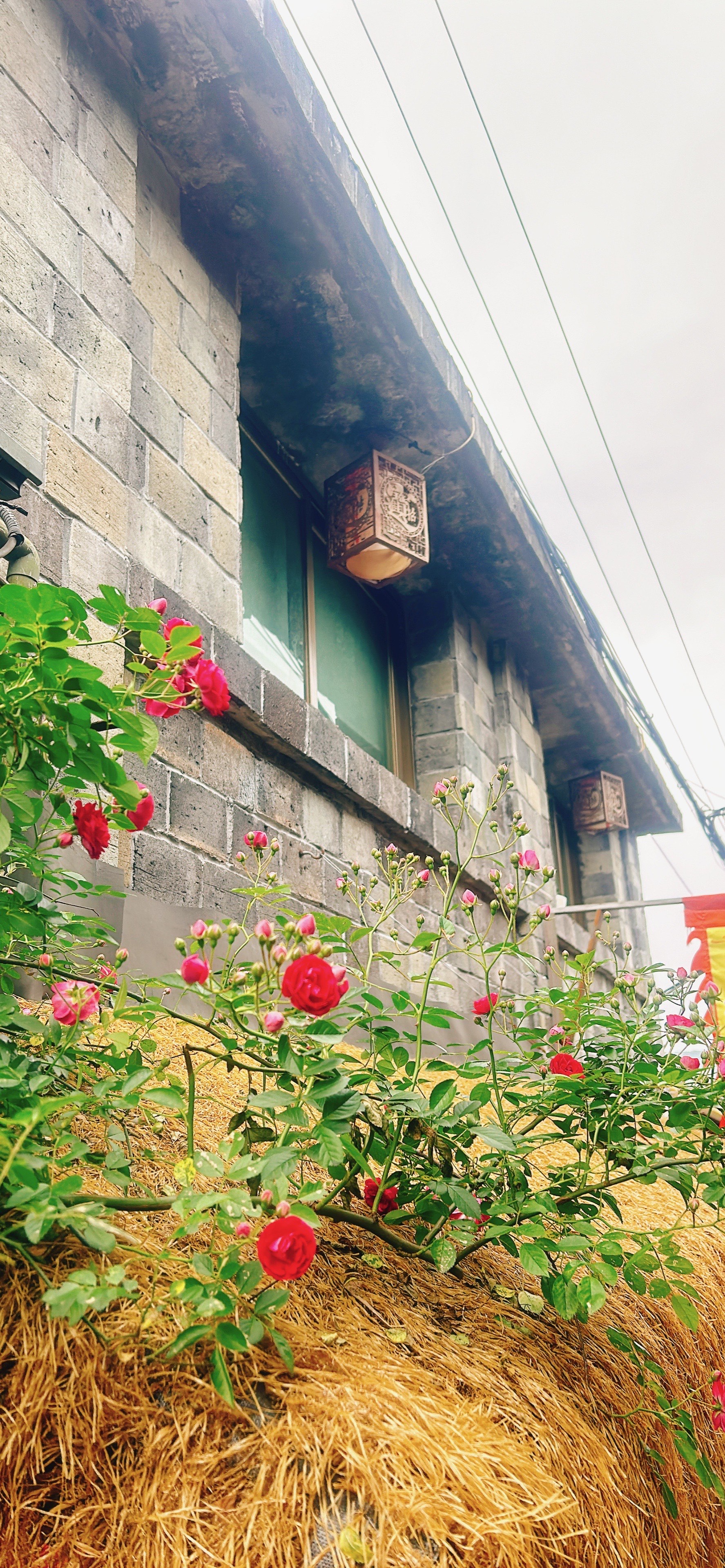 福德湾古村景区图片