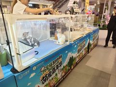 -王府井奥莱棋盘山小镇