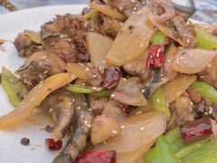 -满堂春特色餐馆