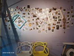 -喵屿·大理花园猫咖