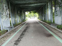 -光明小镇欢乐田园