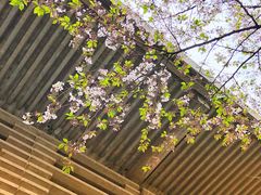 -热田神宫