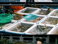 -东澳岛