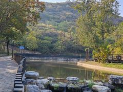 -白水寺森林公园