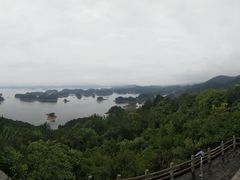 -全乐鱼馆·淳牌有机鱼直营店