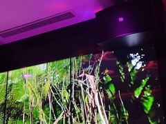 -欢乐迪KTV(观音桥未来国际店)