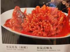 -鸿宾楼(展览馆路店)
