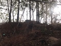 -马头山
