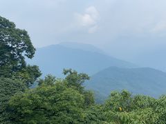 -青城山