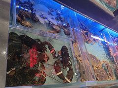 -阿伟海鲜楼·福建菜(延寿店)