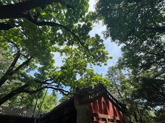 -潭柘寺景区
