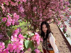 -长白岛森林公园