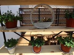 -夏佐CHASEL(横店康庄路店)