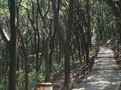 -苏州上方山国家森林公园