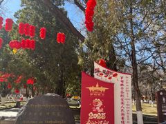 -罗布林卡
