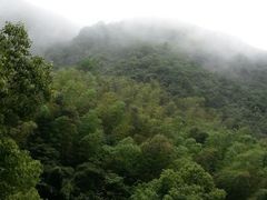 -宁波五龙潭景区