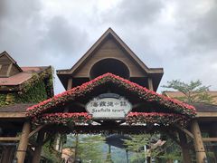 -深圳东部华侨城瀑布酒店