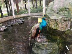 -太阳湾风景区