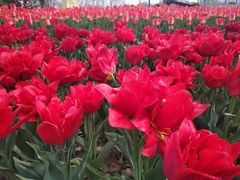 -廊坊文化艺术中心