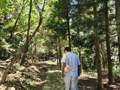 -四明山国家森林公园