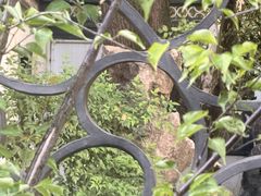 -汇龙潭