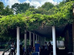 -贮水山儿童公园