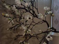 -福田家月子中心 产后 月嫂(市立母子医院店)