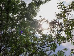 -昆明春城湖畔度假村