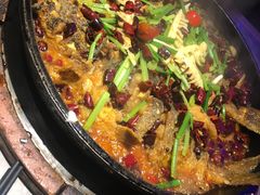 -老板恋上鱼(恒隆广场店)