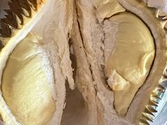 -大连果菜批发市场