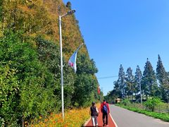 -上海长兴岛郊野公园