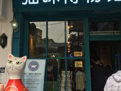 -猫咪博物馆(顶澳仔猫街店)