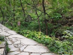-北京上方山国家森林公园