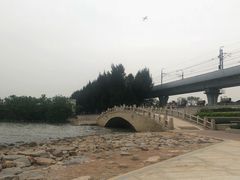 -宝安西湾红树林湿地公园