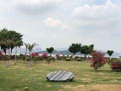 -鼓浪屿内厝澳码头(轮渡站)