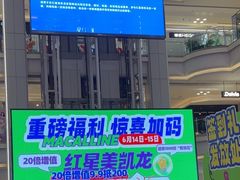 -红星美凯龙北京至尊MALL(东四环中路店)