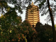 -玲珑塔公园