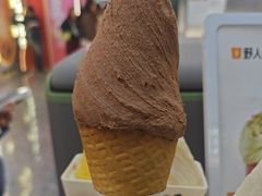 -野人先生现做冰淇淋(西安赛格店)