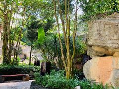 -海口观澜湖火山温泉谷