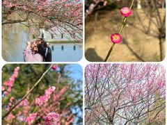 -白塘生态植物园