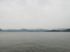 -阿彬生炒牛肉面(解放路店)