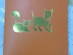 -睿金宠物医院·CT·肿瘤·骨外科